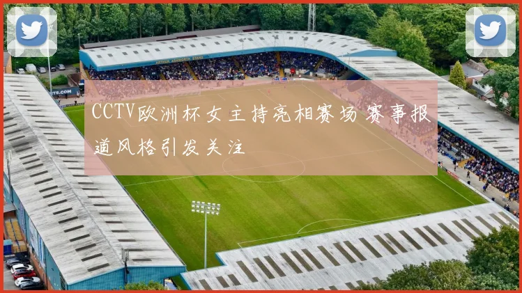 CCTV欧洲杯女主持亮相赛场 赛事报道风格引发关注