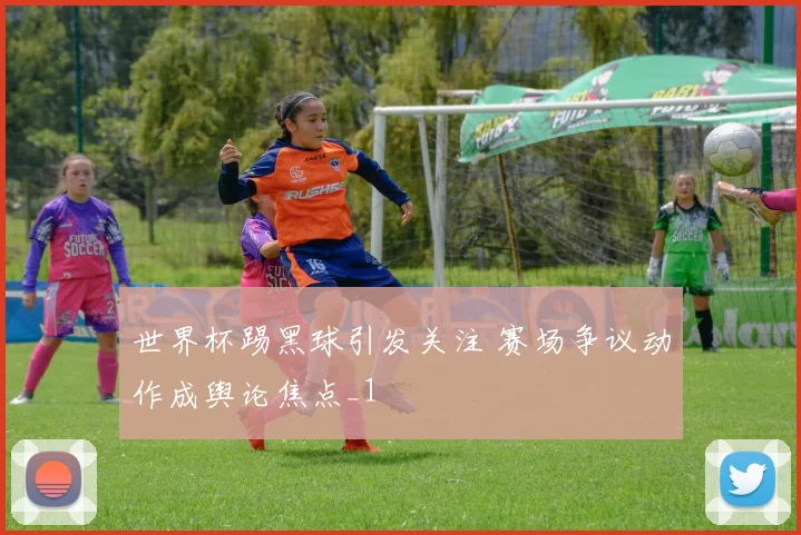世界杯踢黑球引发关注 赛场争议动作成舆论焦点_1