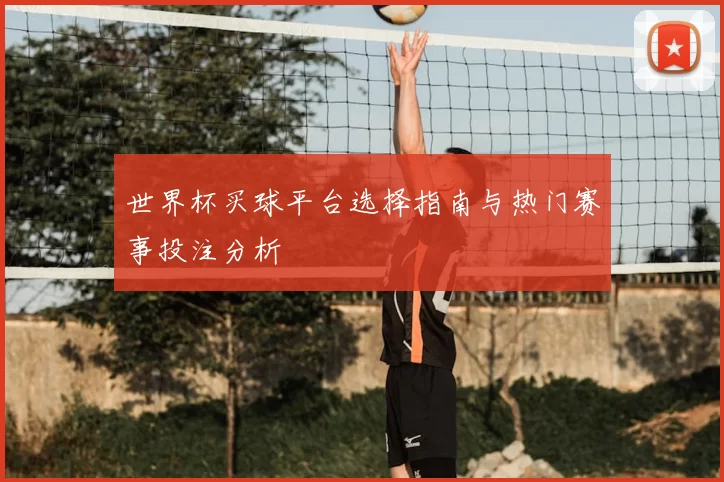 世界杯买球平台选择指南与热门赛事投注分析
